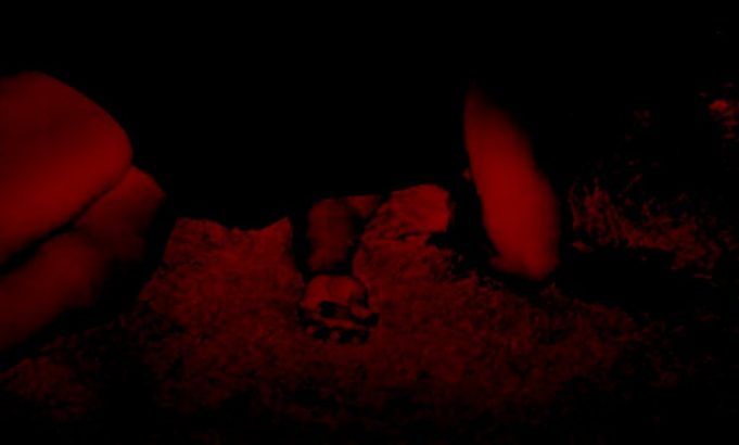 Asesinan a otra mujer trans en Morelos: 3 transfeminicidios en menos de un mes