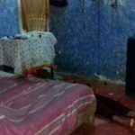 shakira y luis daniel