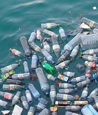 ¿Sabes cuánto plástico ingieres por semana debido a la contaminación?
