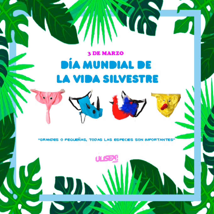 Grandes o pequeñas debemos salvar a todas las especies: 3 marzo Día Mundial de la Vida Silvestre